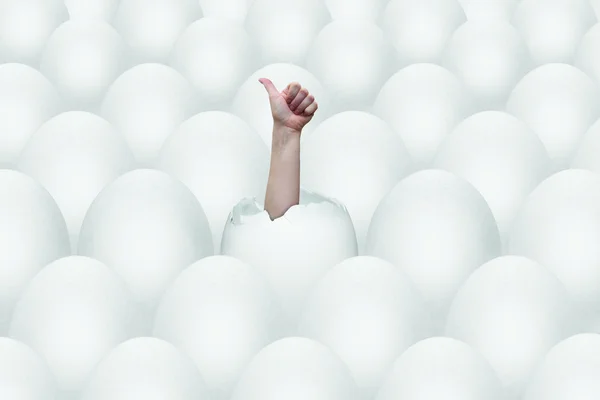 Eggs and success gesture — Stock Photo, Image