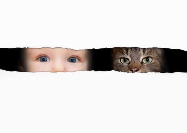 Jongen en kat — Stockfoto