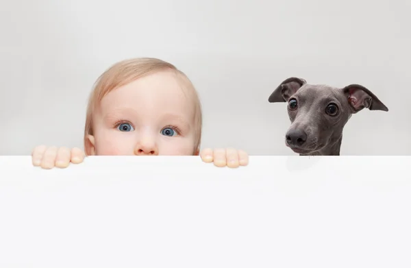 Bebê e cachorro — Fotografia de Stock