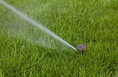 Bahçe püskürtücü