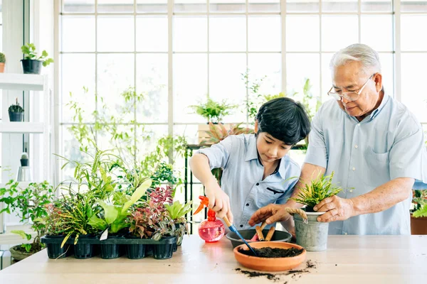 An Asian retired grandfather and his grandson spend quality time together at home. Enjoy taking care of the plants by scooping soil to prepare for planting. The family bond between children and adults