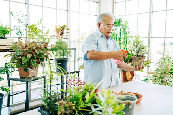 Asiático Macho Aposentado Amor Sênior Para Cuidar Das Plantas Pulverizando — Fotografia de Stock
