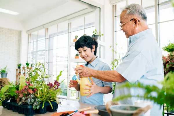 Ein Asiatischer Großvater Ruhestand Und Sein Enkel Verbringen Viel Zeit — Stockfoto