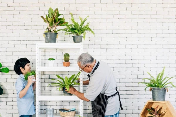 Asian retirement grandfather and his grandson with smiles, spending quality time together by enjoy taking care of plants in an indoor garden. Family bonding between old and young.