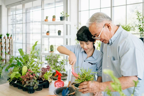 An Asian retired grandfather and his grandson spend quality time together at home. Enjoy taking care of the plants by scooping soil to prepare for planting. The family bond between children and adults