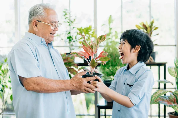 Asian retirement grandfather and his grandson with smiles, spending quality time together by enjoy taking care of plants in an indoor garden. Family bonding between old and young.