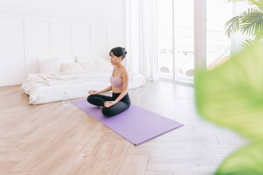Genç, çekici, sportif Asyalı bir kadın yoga minderinde yoga yapıyor Ardha Padmasana egzersizi yapıyor, yarım Lotus pozu veriyor, evde çalışıyor, spor kıyafetleri giyiyor..