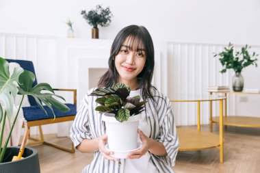 Genç Asyalı uzun siyah saçlı kadın saksıda küçük bir ev bitkisi tutuyor özenle ve gülümseyerek. Canavar ve ev bitkisi aşığı evde. Bitki bakımı kavramı.