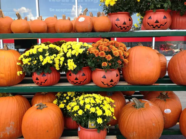 Decoración de Halloween, decoración de temporada otoño . — Foto de Stock