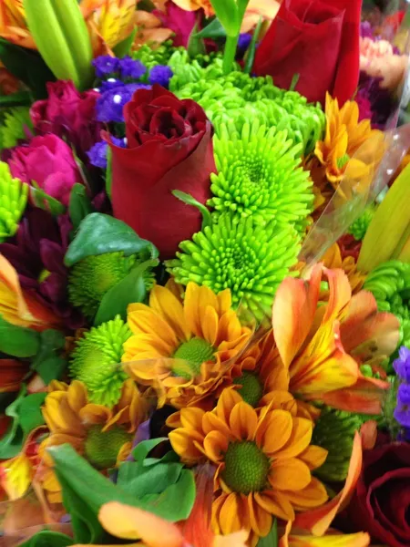 Kolorowe kwiaty. — Zdjęcie stockowe
