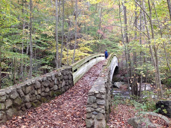 Hiking at the park. — Stock Photo, Image