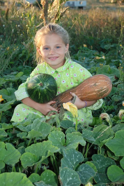 Girl cleans pumpkin in the country — Stock Photo, Image