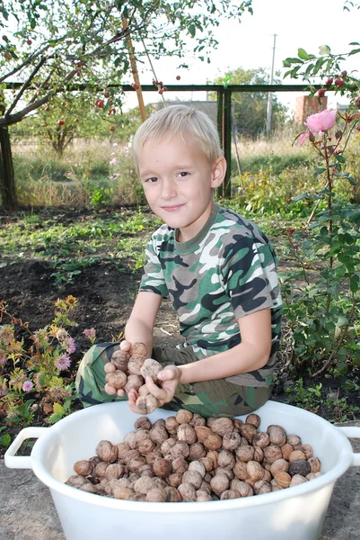 The boy sits on the edge of the basin with walnuts — Zdjęcie stockowe