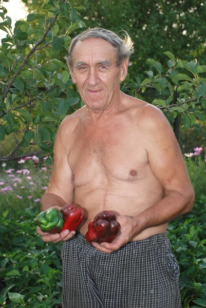 Homme à la campagne avec du poivre dans les mains — Photo