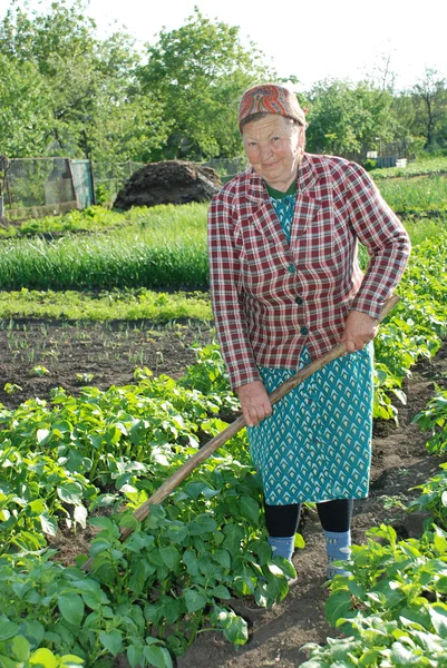 Woman shoots potato spud — Stock Photo, Image