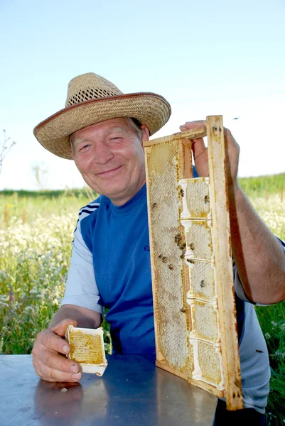 Imker hält ein Gestell mit Bienenwaben lizenzfreie Stockfotos