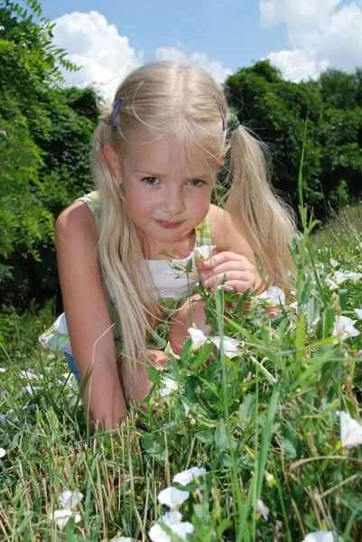 Girl smelling a flower on the meadow — Stock Photo, Image