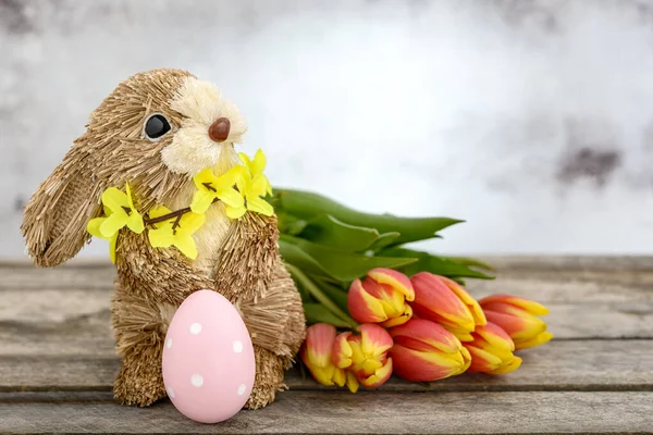 Paskalya yumurtası boyanmış samandan yapılmış komik bir tavşan ve ahşap zemin üzerinde turuncu-sarı laleler. Paskalya konsepti.