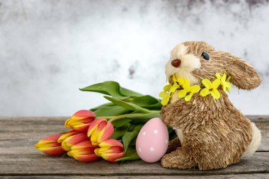 Paskalya yumurtası boyanmış samandan yapılmış komik bir tavşan ve ahşap zemin üzerinde turuncu-sarı laleler. Paskalya konsepti.