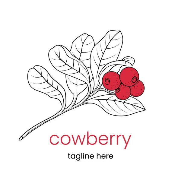 Modello Logo Cowberry Ramo Cowberry Disegnato Mano Stemma Vettoriale Stock — Vettoriale Stock