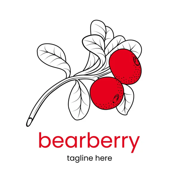 Plantilla Logotipo Bearberry Rama Oso Dibujado Mano Emblema Vector Stock Ilustración De Stock