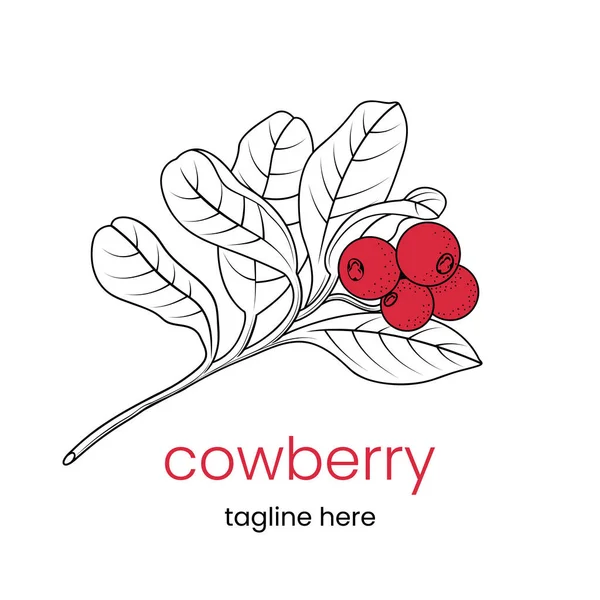 Modelo Logotipo Cowberry Ramo Cowberry Desenhado Mão Símbolo Vector Gráficos Vetores