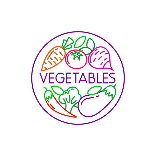 Modelo Logotipo Vegetais Delinear Emblema Colorido Ilustração Vetor — Vetor de Stock