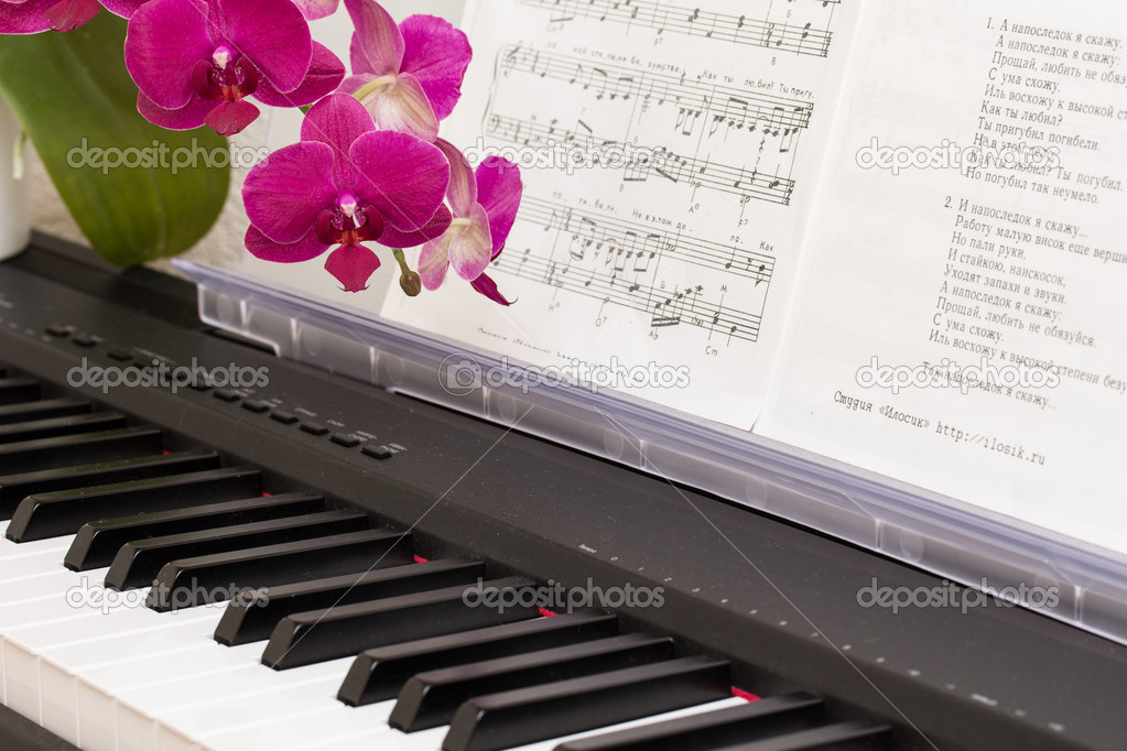 Pink orchid and synthesizer