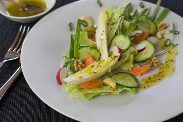 Salade van voorjaar groenten — Stockfoto