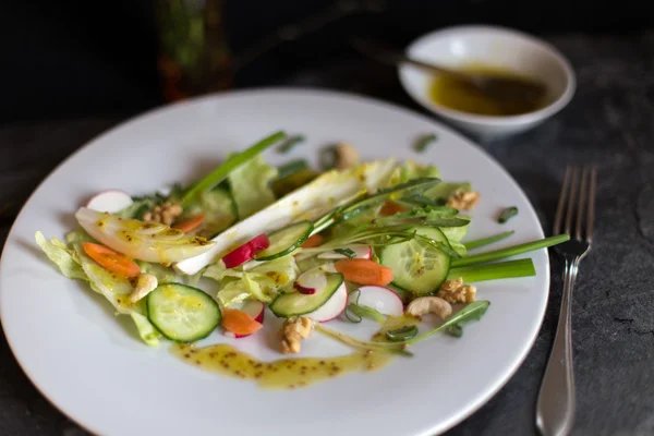 Salát z jarní zeleniny — Stock fotografie