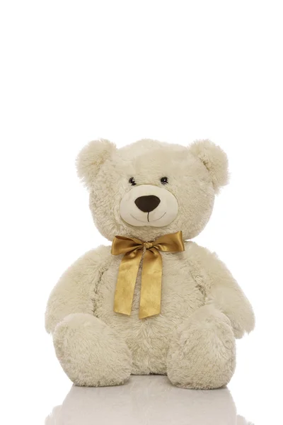 Witte teddy bear — Stockfoto