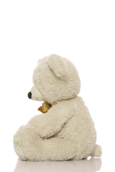 Witte teddy bear Stockafbeelding