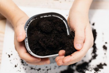 Çocuk ahşap masadaki plastik kaba verimli toprak döküyor. Bahçıvanlık, çiftçilik. Seçici odak, üst görünüm.