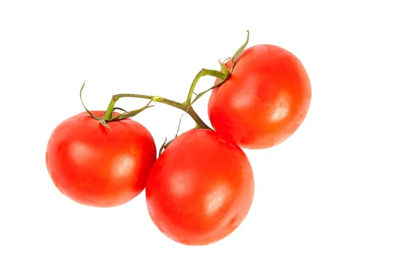 Tomatoes — Stock Photo, Image