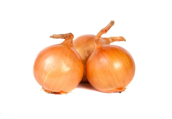 Fresh bulbs of onion — Stock Photo, Image