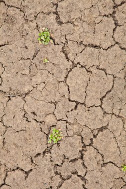 Kuru çatlamış toprak arkaplanı