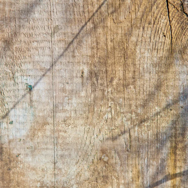 Textura madera — Foto de Stock