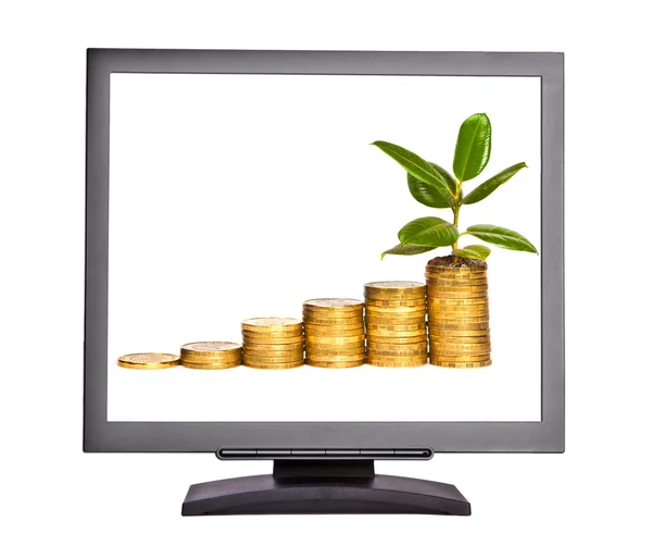 Crecimiento de dinero en la pantalla — Foto de Stock