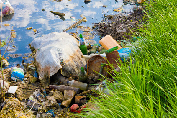 Загрязнение окружающей среды
