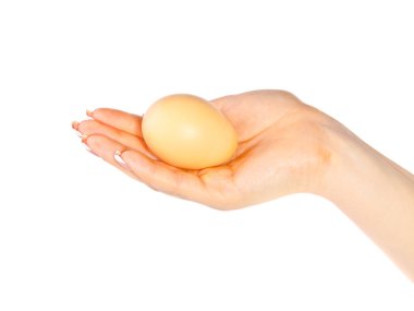 Kadın eli bir tavuk yumurta ile