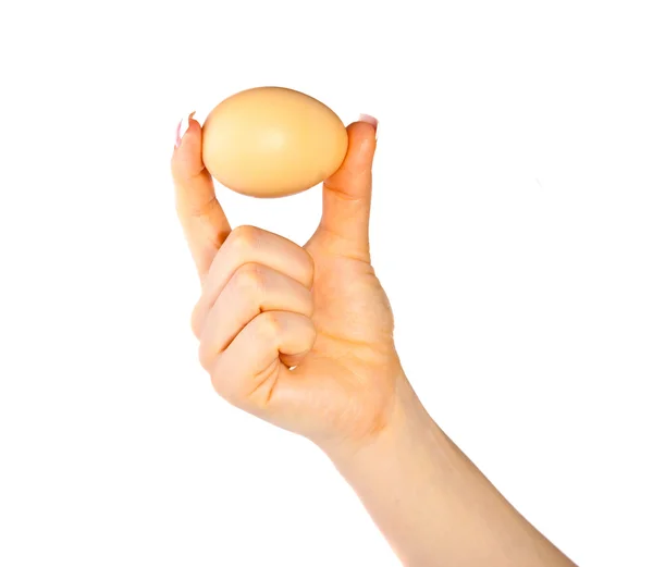 Woman's hand with a chicken egg — Stock Photo, Image