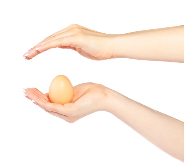 Two female hands and egg — Stock Photo, Image