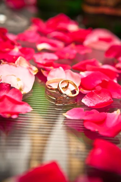 Обручальные кольца, окруженные лепестками роз — стоковое фото