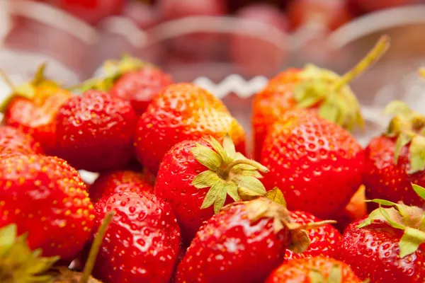 Fragole in un vaso primo piano — Foto Stock