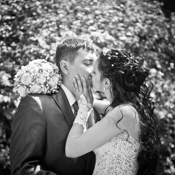 Kiss the bride and groom, black and white — Stock Photo, Image