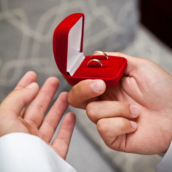 Anillos de boda en una caja en la palma de la novia —  Fotos de Stock