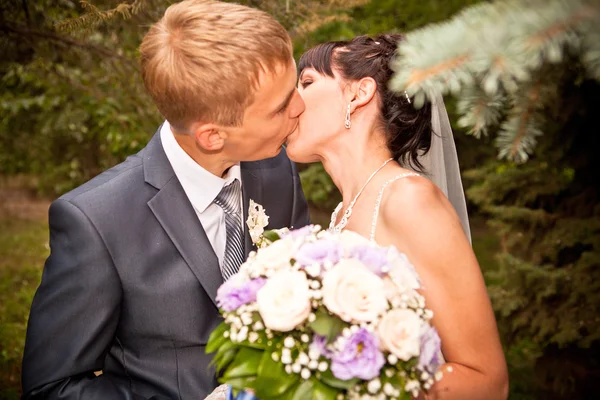 Bride and groom outdoor wedding portraits — Stock Photo, Image