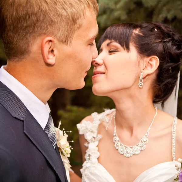 Bride and groom outdoor wedding portraits — Stock Photo, Image