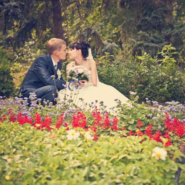 Feliz noivo e noiva passeio de casamento no parque — Fotografia de Stock