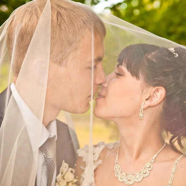 Junges Hochzeitspaar - frisch vermählter Bräutigam und Braut posieren — Stockfoto